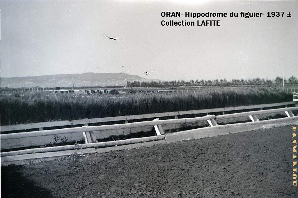 ORAN 1937 HYPPODROME DU FIGIER    (14).jpg